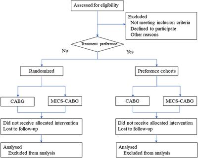 A Partially Randomized Patient Preference Trial to Assess the Quality of Life and Patency Rate After Minimally Invasive Cardiac Surgery-Coronary Artery Bypass Grafting: Design and Rationale of the MICS-CABG PRPP Trial